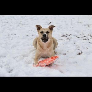 Meet your Posher, Logan